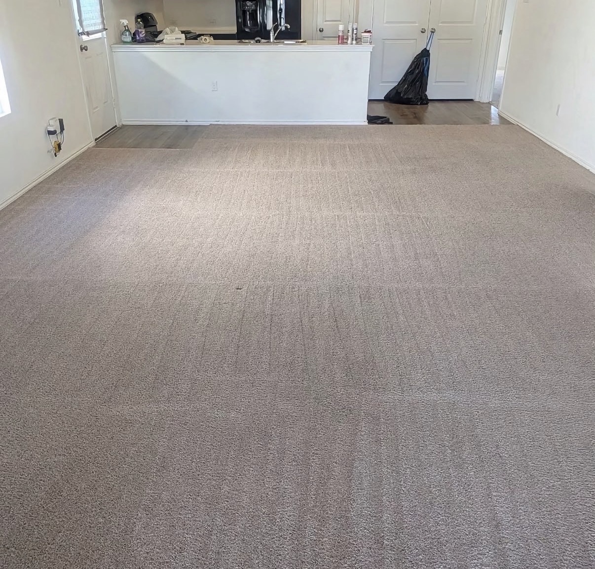 Living room carpet after cleaning